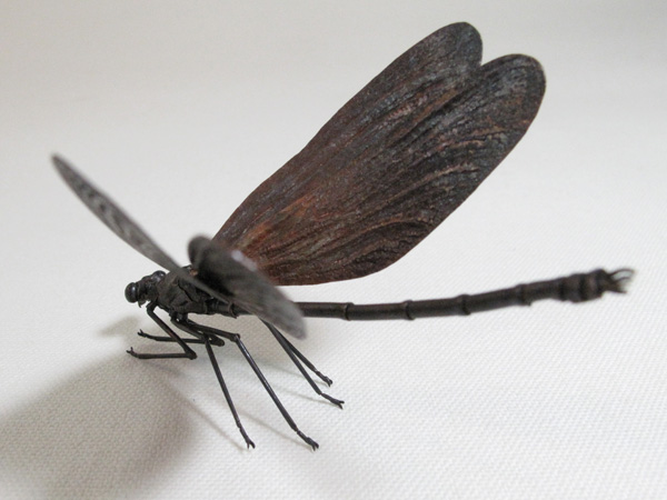 自在置物標本箱 ハグロトンボ