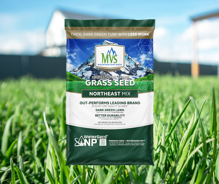 Premium Northeast Grass Seed Mix – MVS Lawn