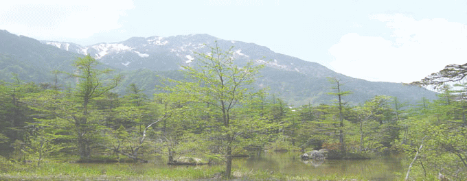 亜音オカリナ【公式サイト】 Anonオカリナ あのんオカリ ナ オカリナ