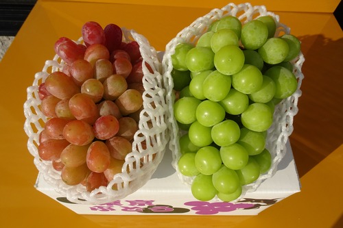 ぶどう | 松乃園