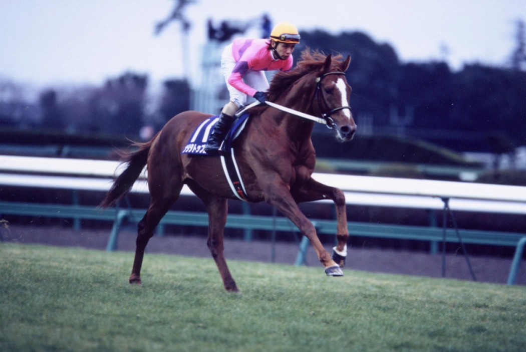 ナリタトップロード