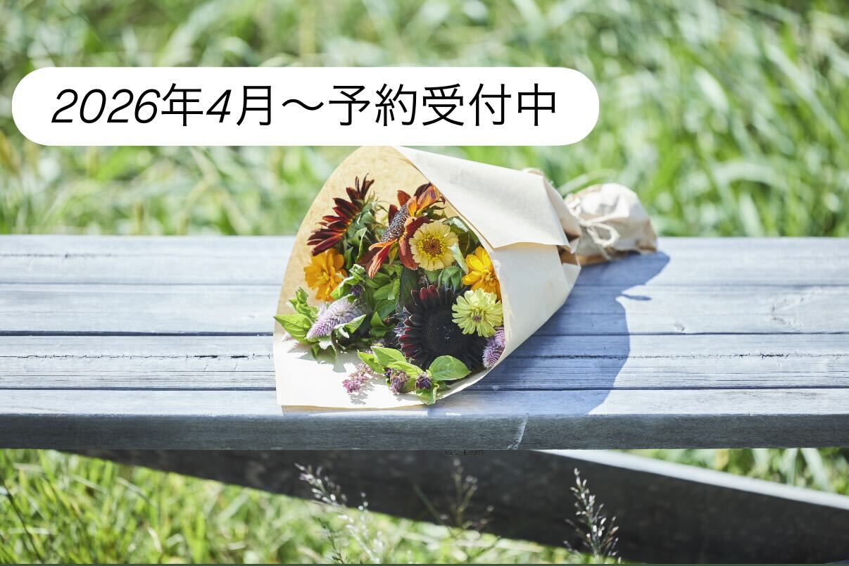 ネコハナギフト M (4,800円) | 猫にとって安全性の高いお花をお届け