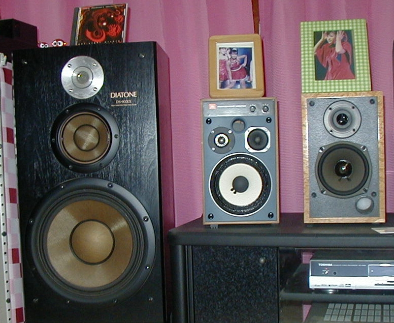 DS-900EX: 猫っぽくいきまっしょい！