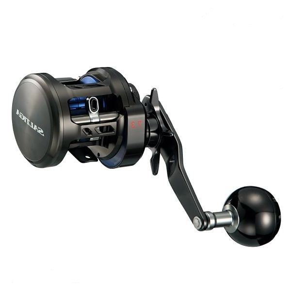 Daiwa 17 SALTIGA BJ 100-SHL Baitcasting Reel 4960652088305 – North