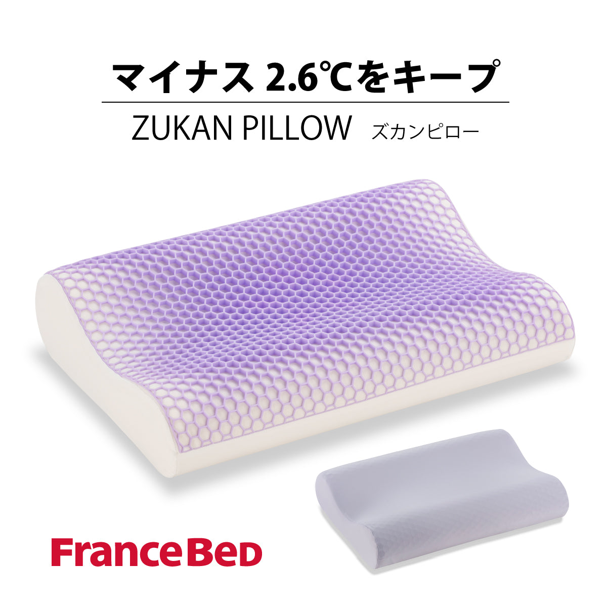 zukanpillow.jpg?v=1724661768