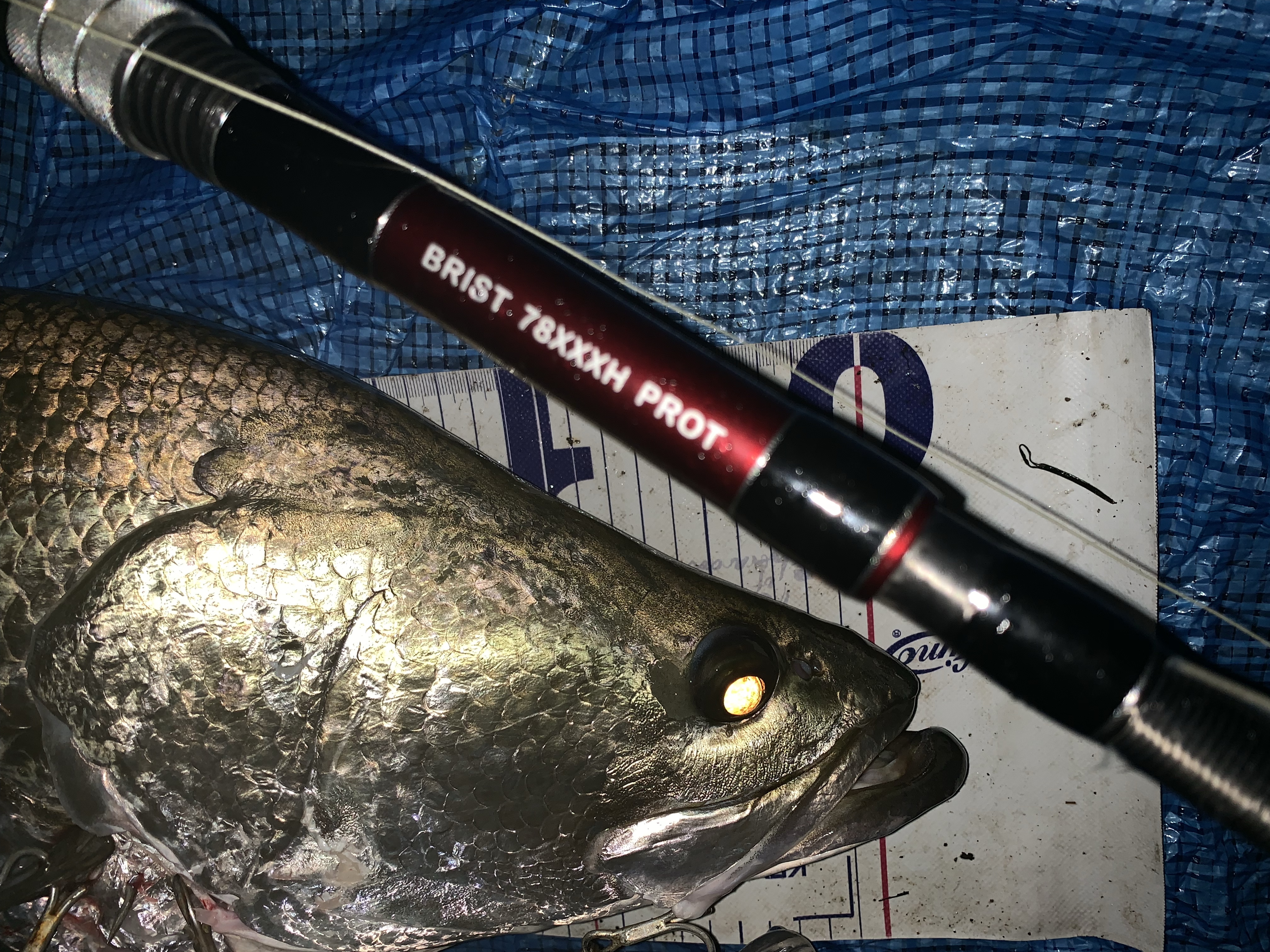 BRISTcomodo8.3XXXXH（ブリスト コモド）インプレ | アカメブログ