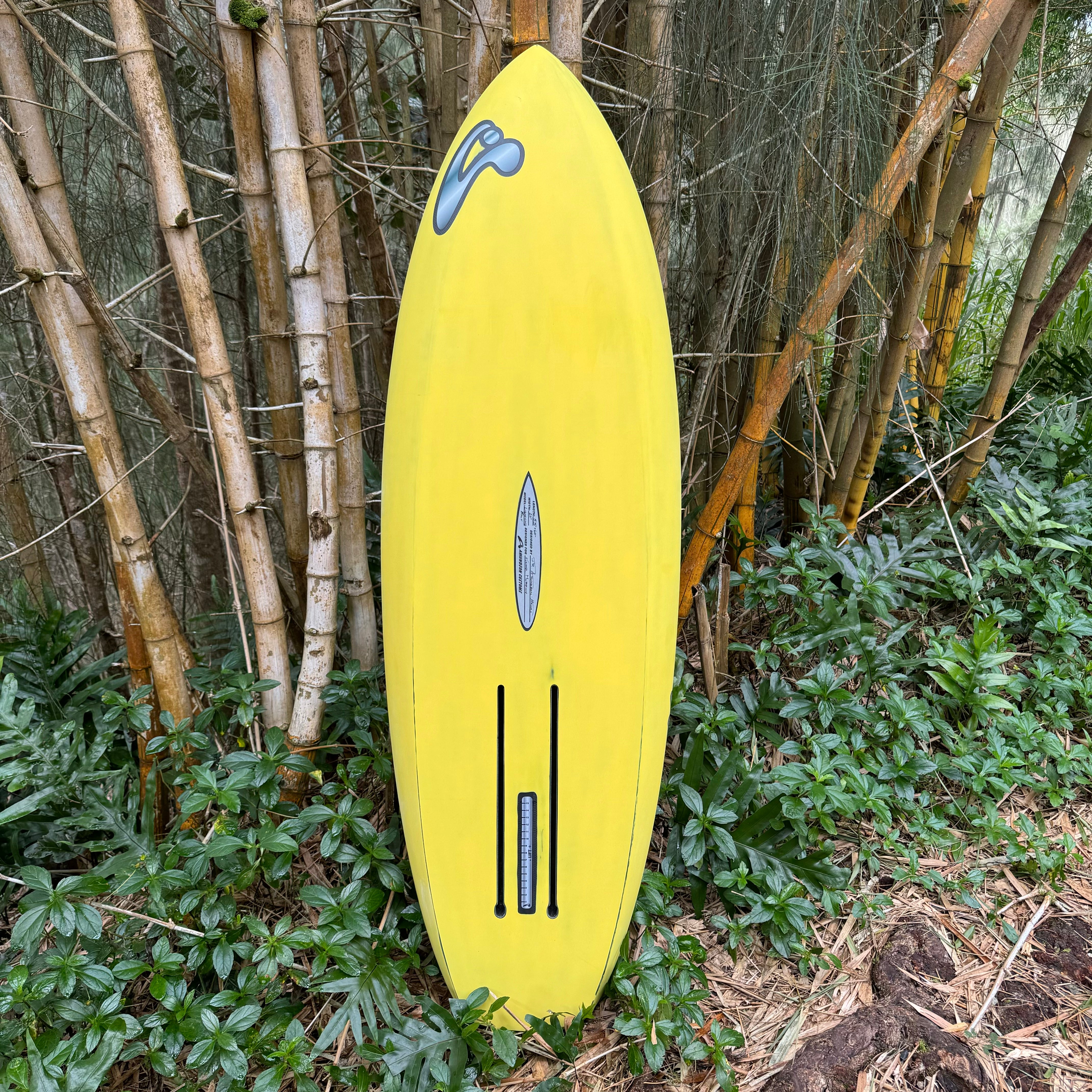 IMG_0451.jpg?v=1760576462