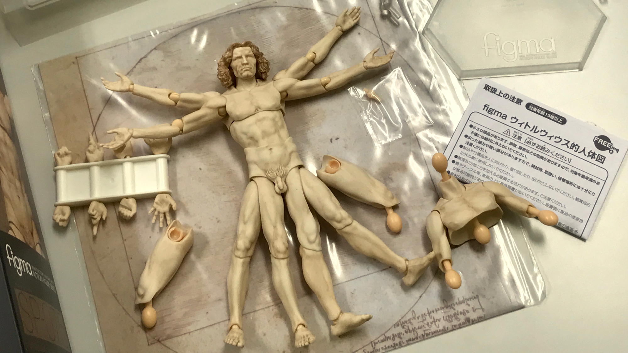 figma テーブル美術館 ウィトルウィウス的人体図 ノンスケール ABS&PVC