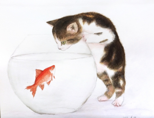 水彩画『猫と金魚』 - 絵画教室 アートスクール セント・ギャラリー