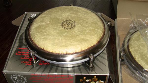 Pearl Travel Conga 【Pearl トラベルコンガ】 | つくつくとんとん