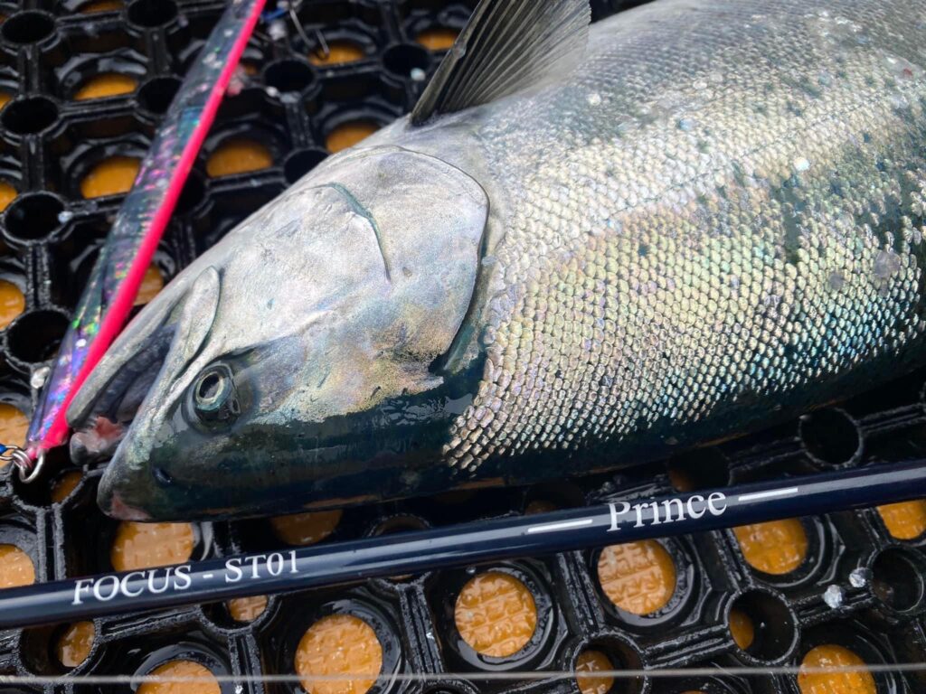 Sammys 猛者 MOSA+F 150g オリカラ販売方法について - 道東の釣りなら