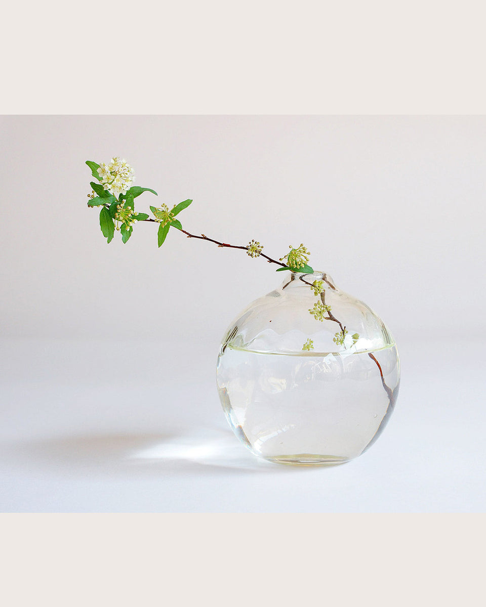 177_01_1_1200x1200.jpg?v=