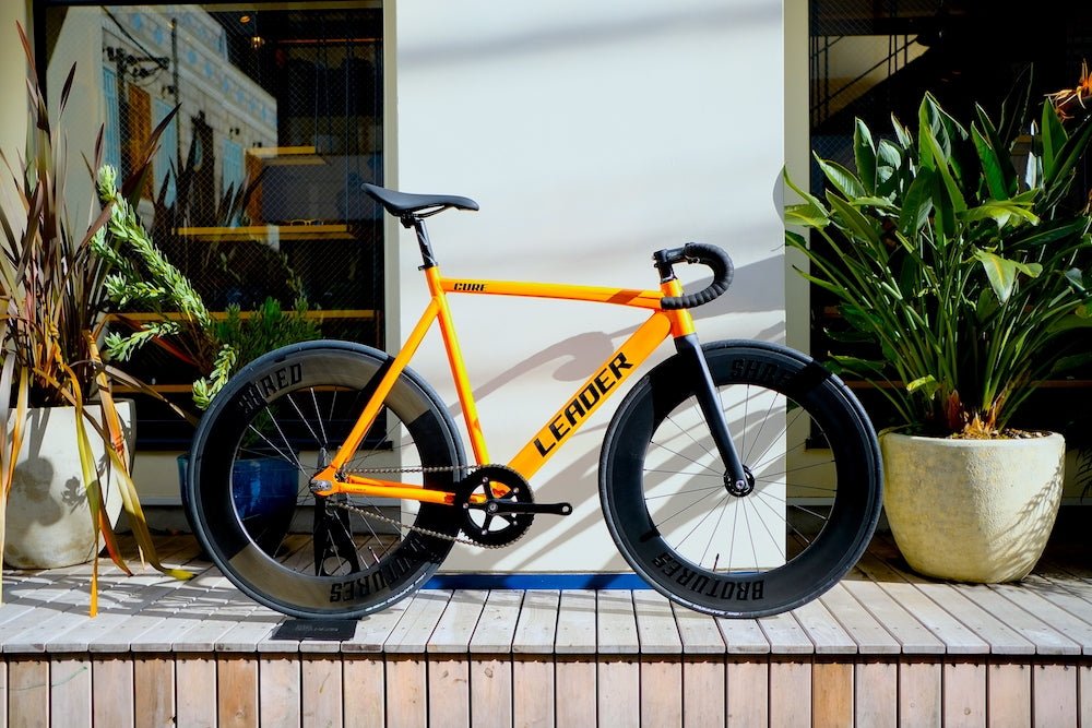 DSCF2488-4931426.jpg?v=1759571566