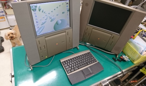 スパルタカス（Twentieth Anniversary Macintosh）: 雪どうぶつ病院