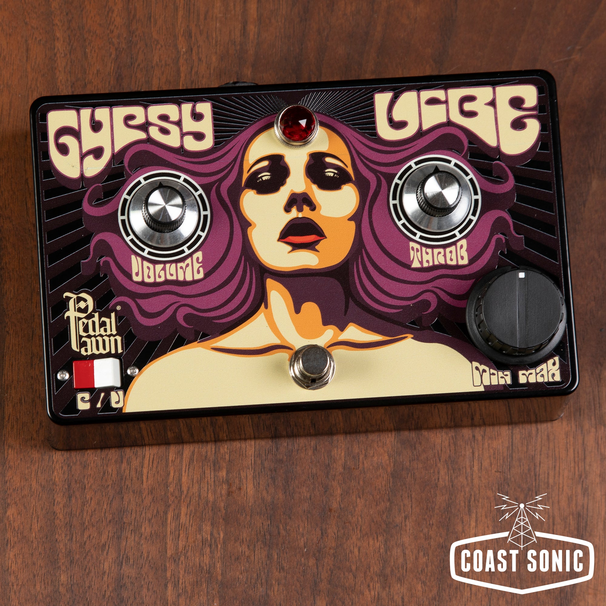 Pedal Pawn Gypsy Vibe V2