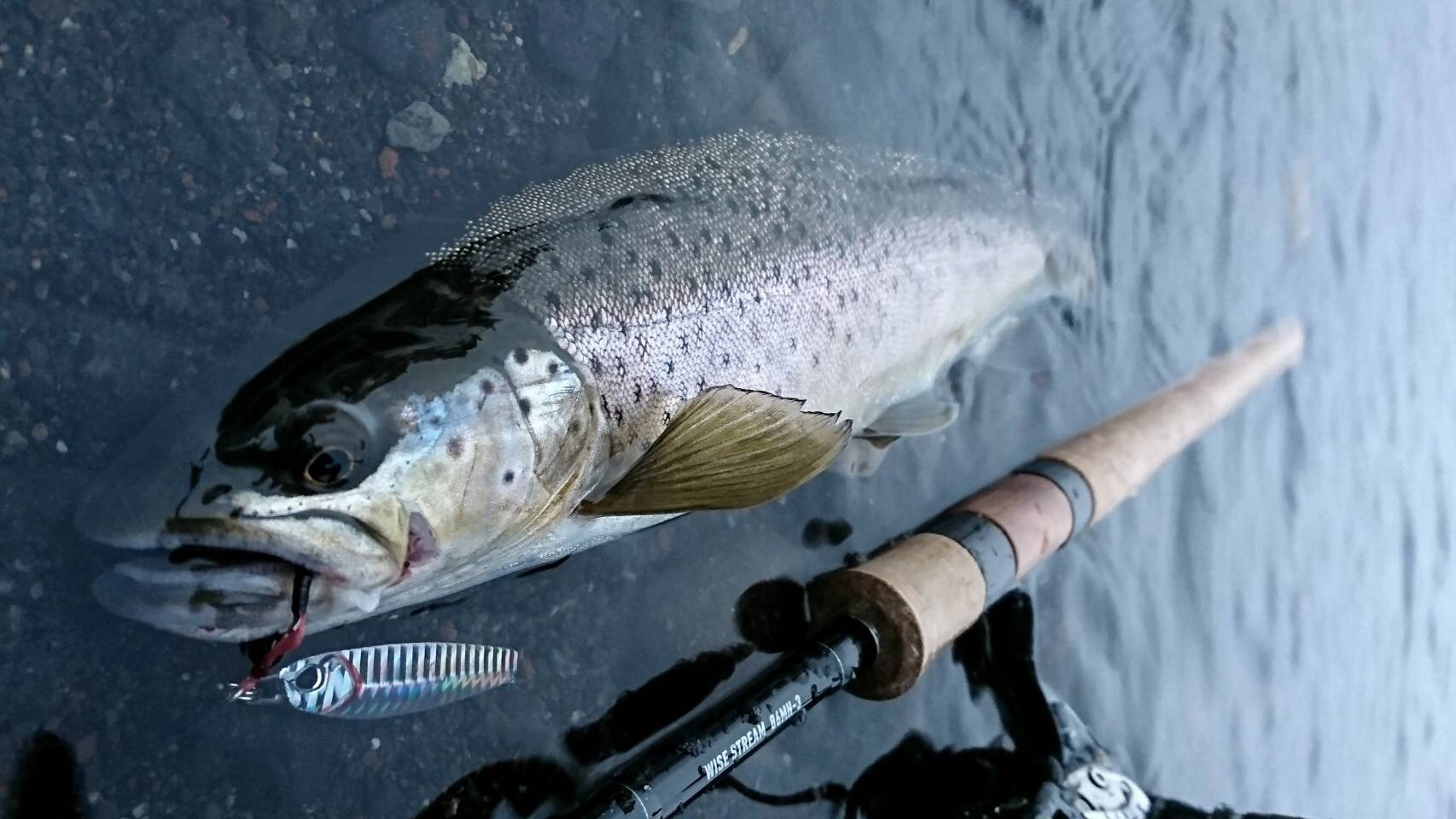 DAIWA TROUT: 2017年4月アーカイブ