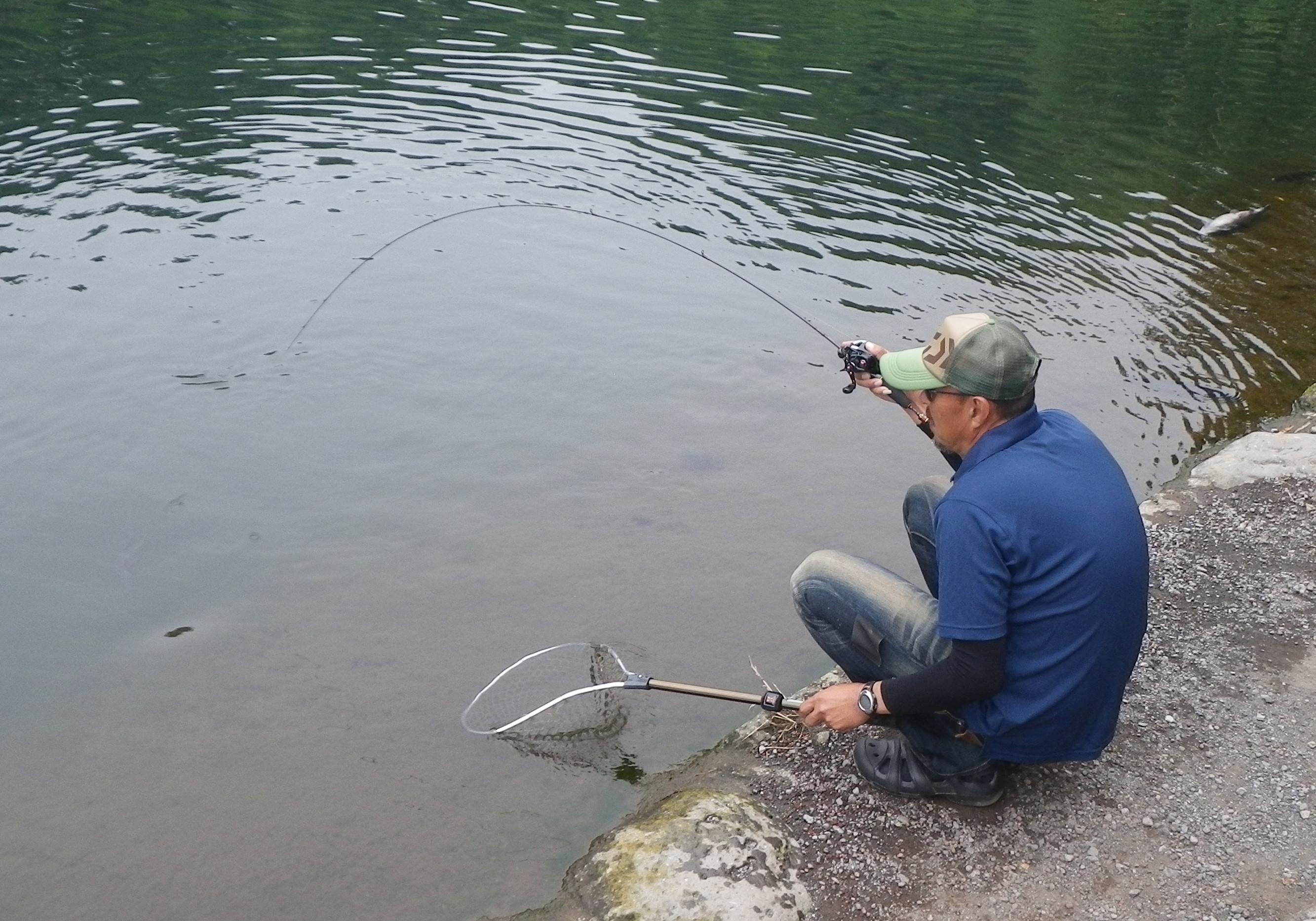 PRESSOベイトロッドが復活！ - DAIWA TROUT