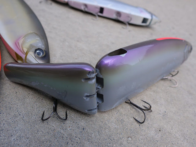 DRTの新たなビッグベイト！『Frenzy』のメカニズムが公開！ | えぐのブログ