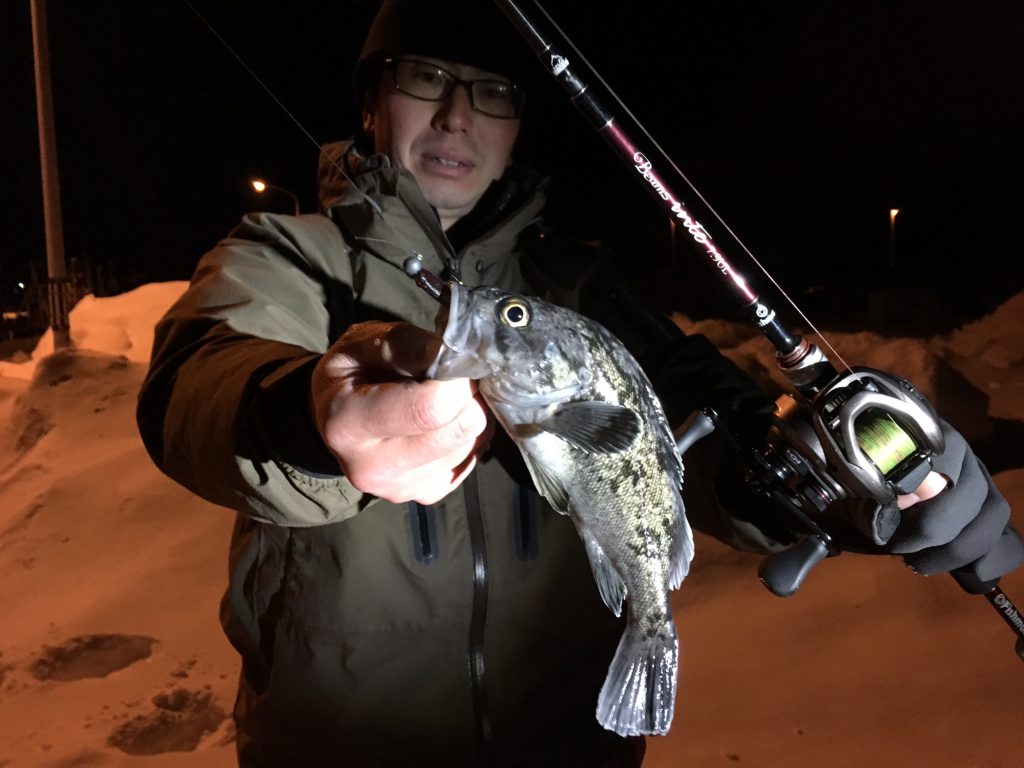 ビームスインテ79ULとシーライドミニでナイトロック - Fishman