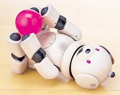 News：赤と白の限定AIBO登場、スピードボードや新AIBOウェアも