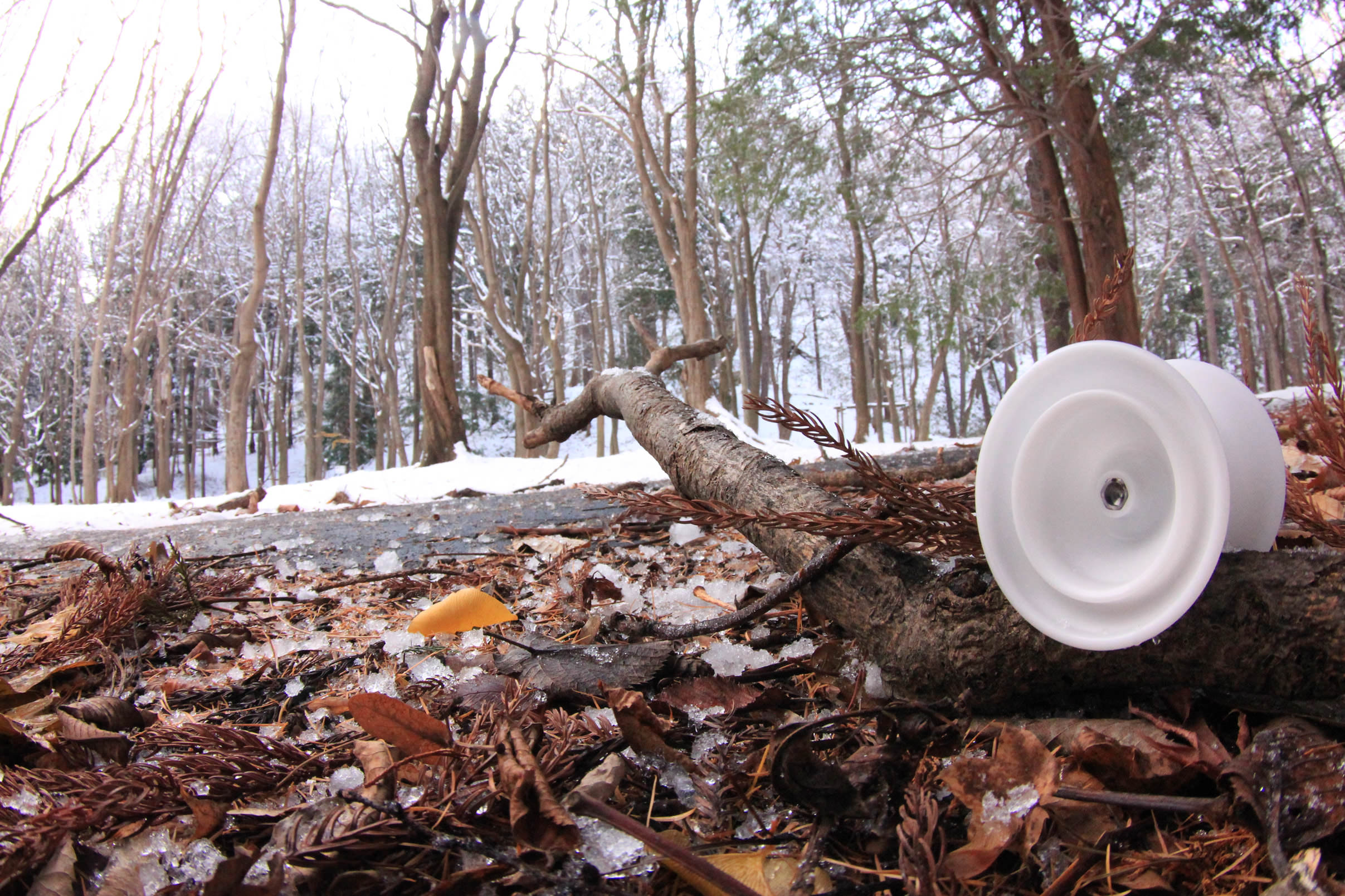 Japan Technology トゥループ ジャパンテクノロジーJT JAPAN