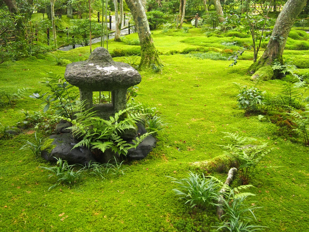 祇王寺の苔庭 | 京都旅屋