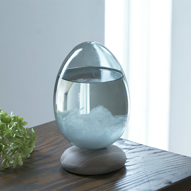 テンポパルス ドーン Tempo Pulse DAWN ストームグラス 100percent 卵