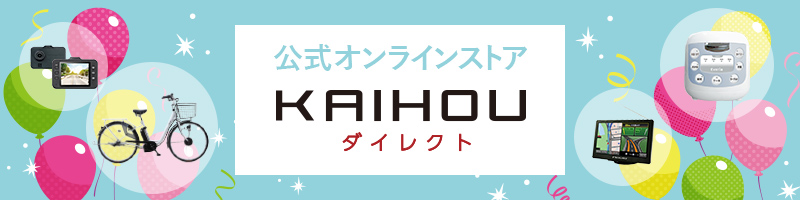 BM-PZ100 | カイホウジャパン