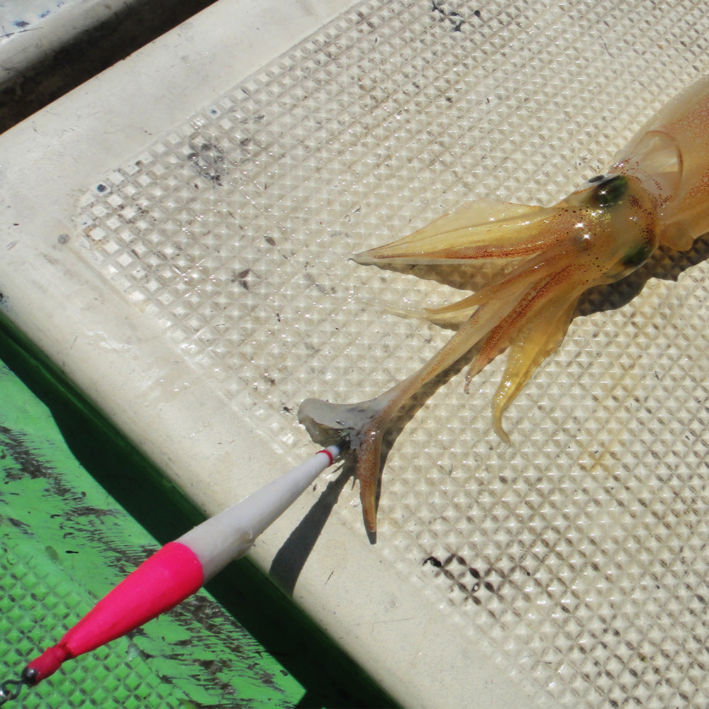 硬質発泡浮きスッテ 115mm（5.0号）夜光 ピンク白（1パック2本入り