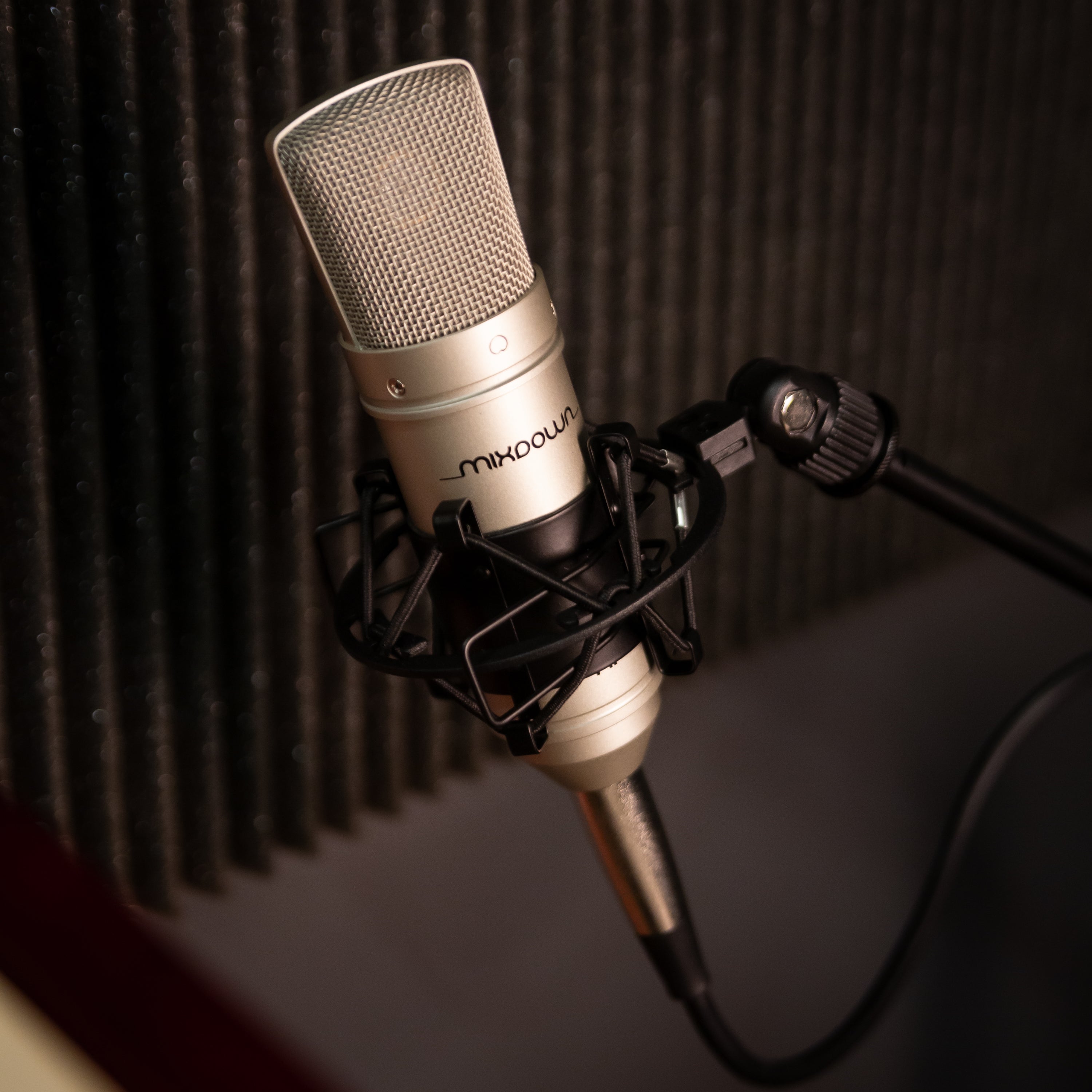 CAD Mixdown X1 Condenser Mic – Kraft Music
