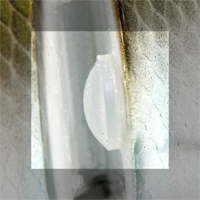 VAGABOND LURES キングハスラー フローティング – Lure-Fly.com