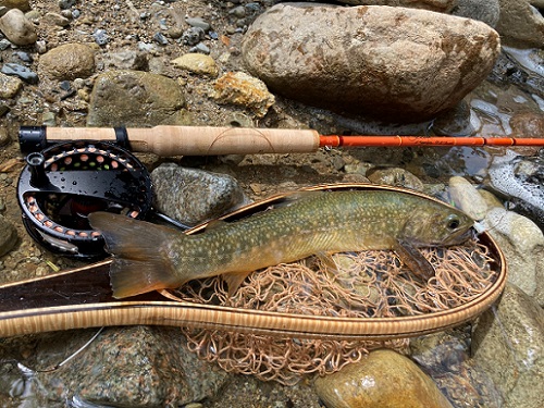 SCOTT（スコット）フライロッド、ニューモデルのFS723/5のご紹介