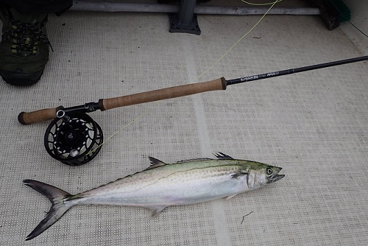 G.LOOMIS、Gルーミスフライロッド、2025年モデルのご紹介。 - 道具屋日記