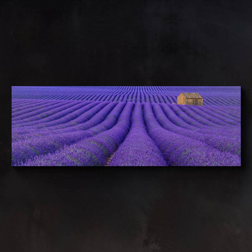Lavender Field in France | Open Edition Print - Peter Lik