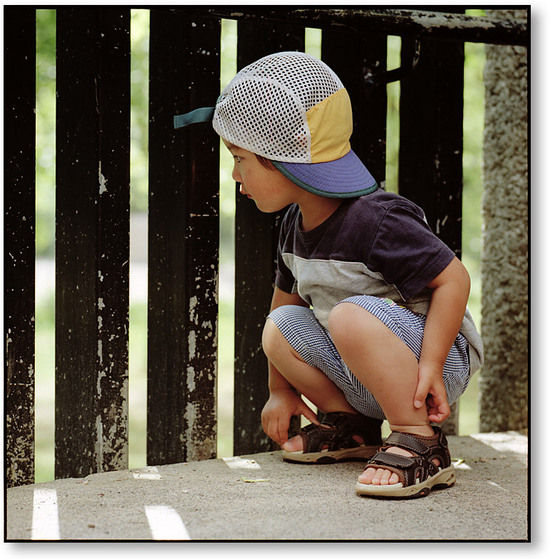 Kodak Ektar 135mm/F3.5 / ストックホルムの空を見上げて