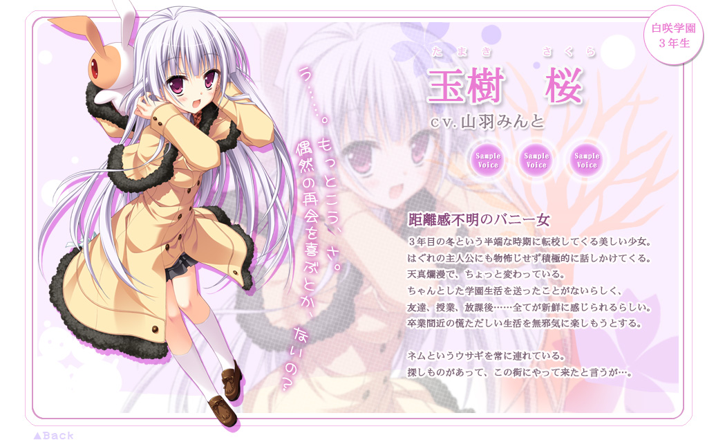 はつゆきさくら