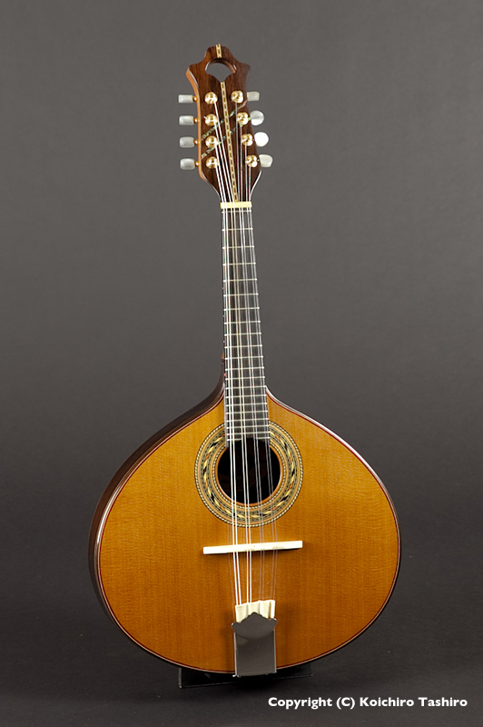 世界の民族楽器