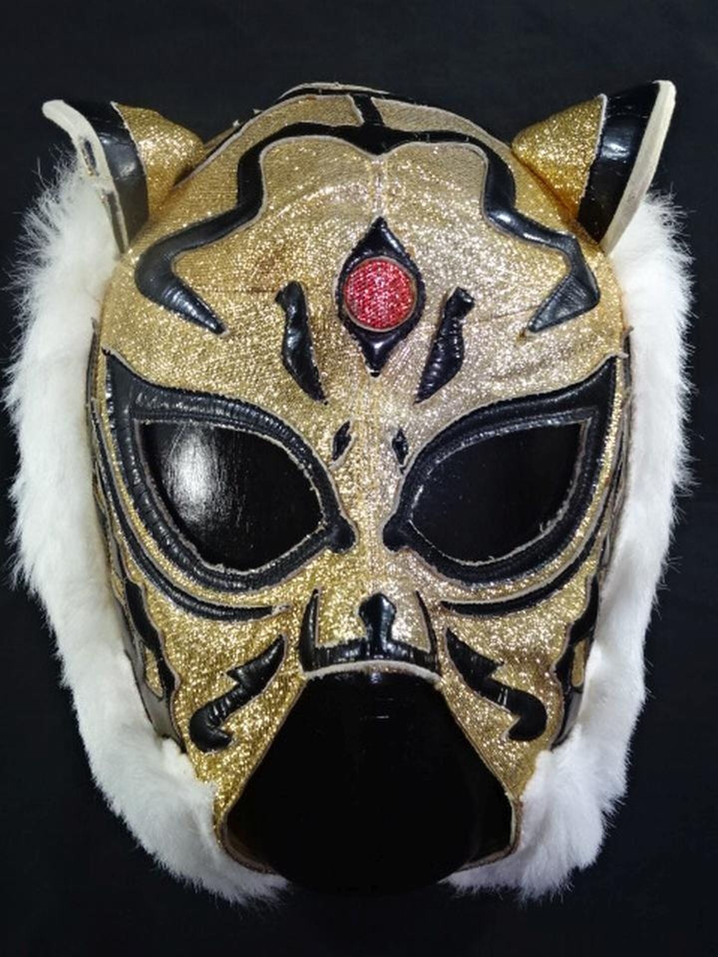 初代タイガーマスク – 闘道館