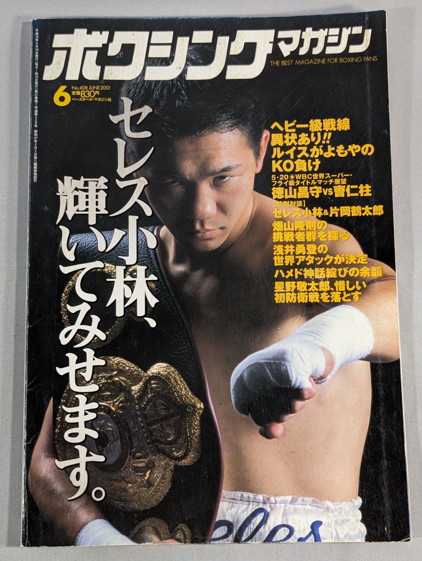 ボクシングマガジン408 – 闘道館