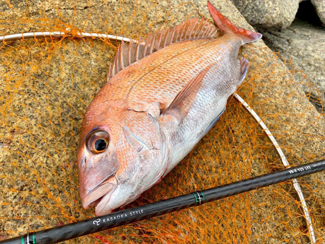 ショア一つテンヤ特化ロッド/ VR-Xシリーズ：商品ラインナップ｜V.I.SOUL