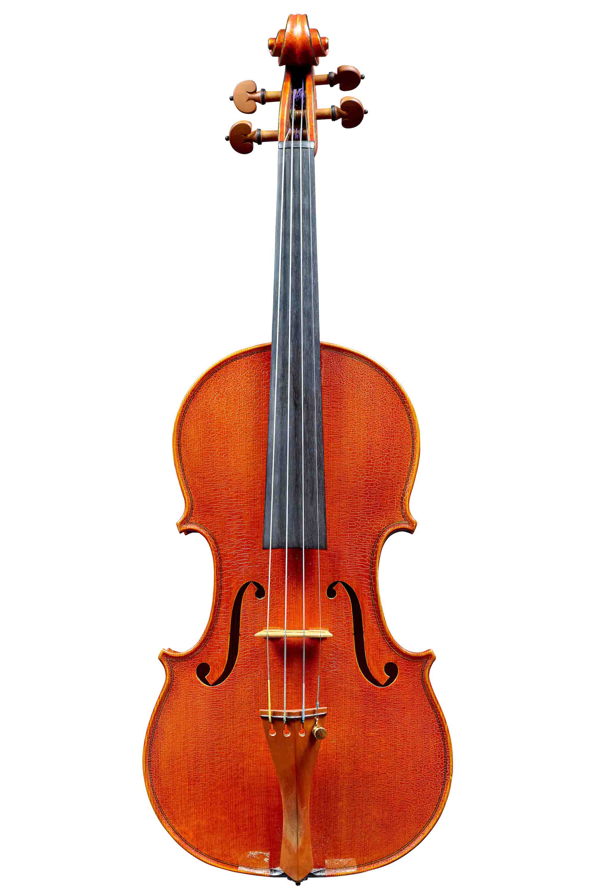 中古ピグマリウス・ルビーノ RV-600 / 中古Pygmalius Rubino RV-600