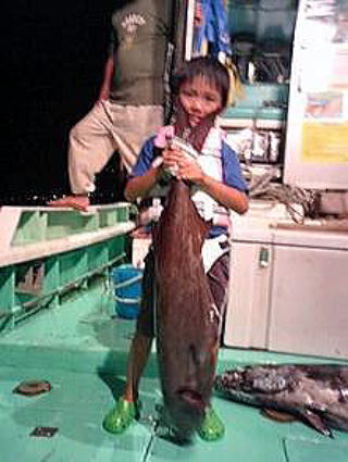 株式会社 カーペンター ルアー 釣り GTフィッシング 黒鮪 マグロ