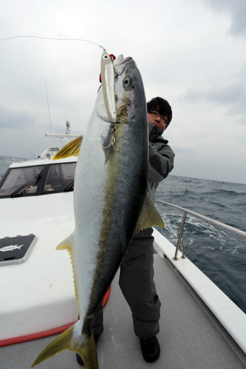 カーペンター 舞姫