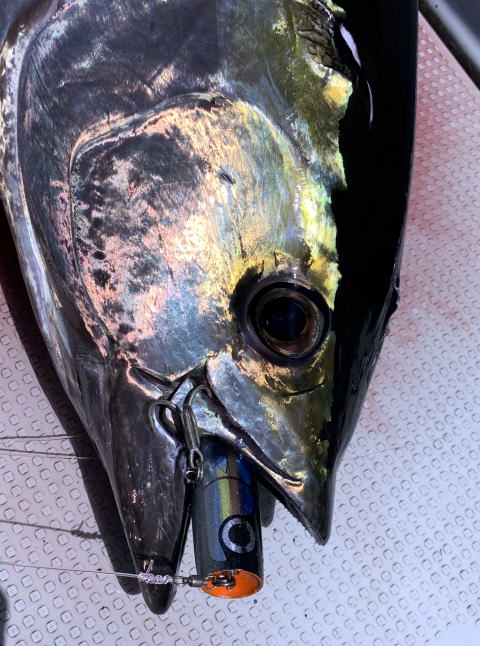 カーペンター ストライク イーグル