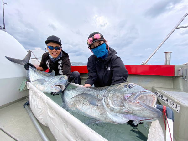 カーペンター ハヤブサ