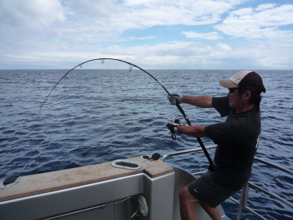 カーペンター BLC84／18 ブルーチェイサー