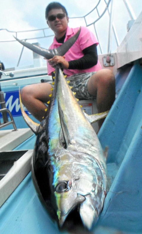 カーペンター BLC84／18 ブルーチェイサー