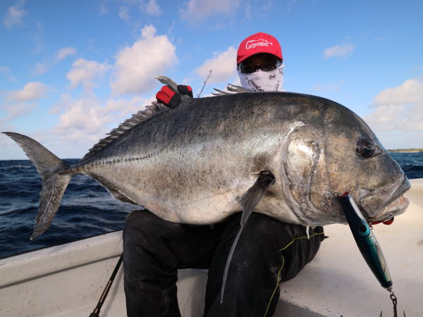 カーペンター BLC84/26 ブルーチェイサー