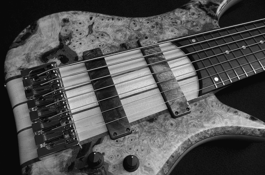 Phoenix Official Web Site - TUNE Guitar Maniac