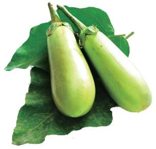 柏崎地場特産品「つららなす」／柏崎市公式ホームページ